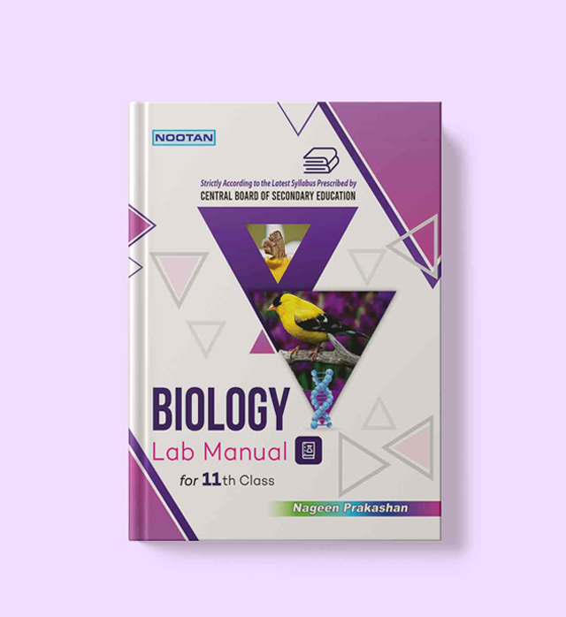 Product 5